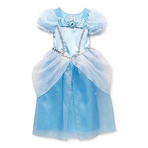 Disney Princess Cinderella costume